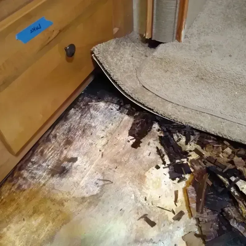 Best Wood Floor Water Damage Service in Deville, LA